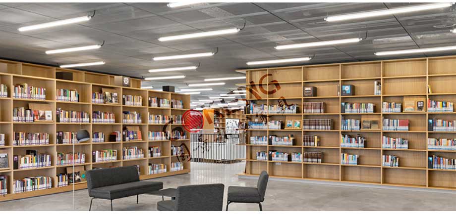 学校图书馆书架书柜